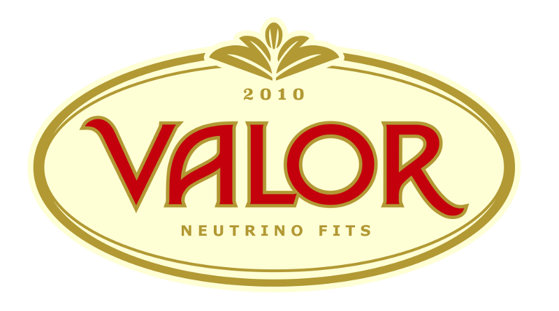 VALOR project logo